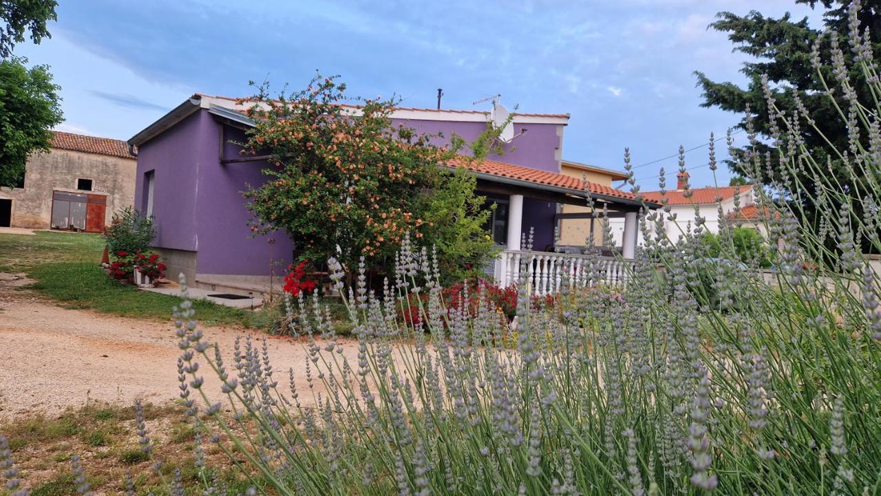 Charming Cozy Holliday House 2+2 Villa Valtura Exteriör bild